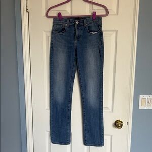 Banana Republic Blue Straight Leg Jeans